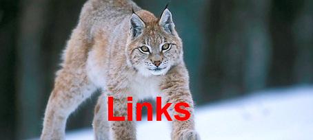European Lynx-0001 European Lynx-0001