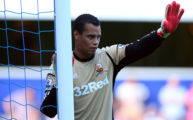 Michel Vorm Swansea City