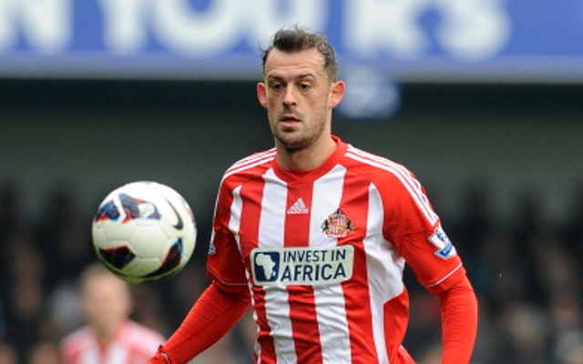 Steven Fletcher Sunderland