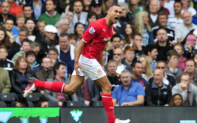 Steven Caulker Cardiff City