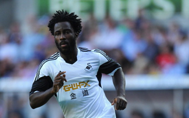 Wilfried Bony Swansea City