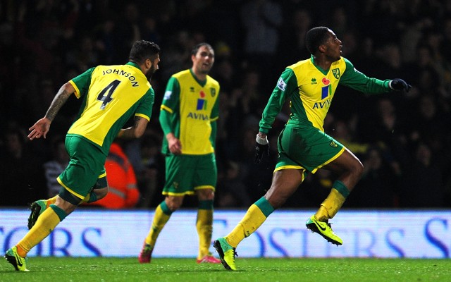 Leroy Fer Norwich City