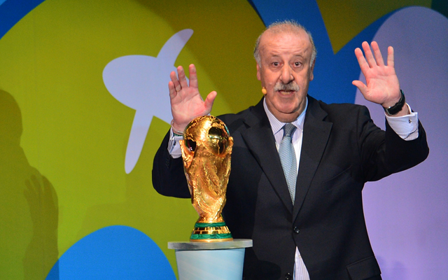 Vicente Del Bosque Spain World Cup