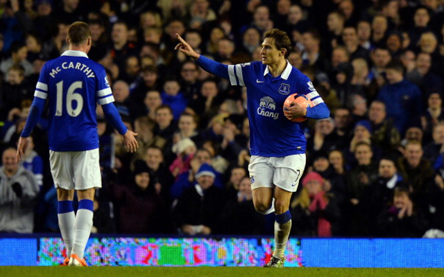 Nikica Jelavic Everton