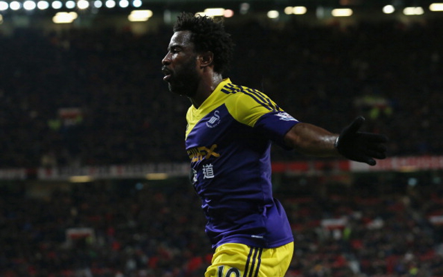 Wilfried Bony Swansea City
