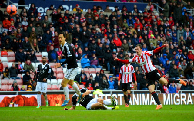 Craig Gardner Sunderland
