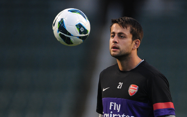 Lukasz Fabianski Arsenal