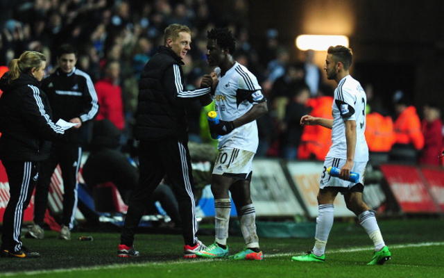 Wilfried Bony Swansea City