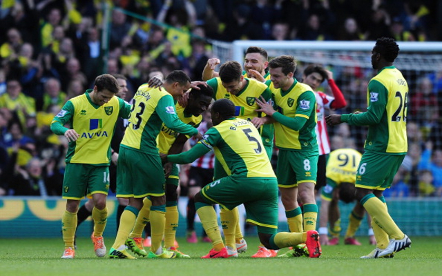 Alexander Tettey Norwich City