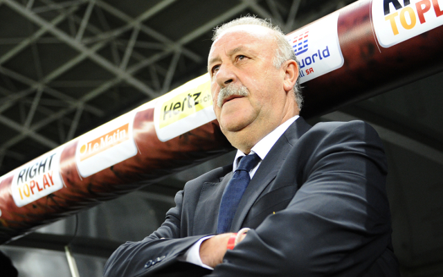 Vicente-Del-Bosque-Spain