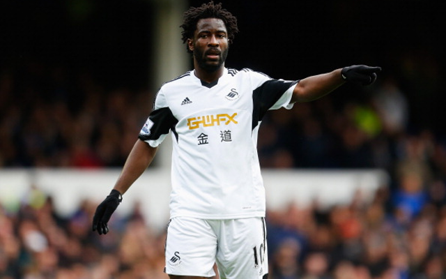 Wilfried Bony Swansea City