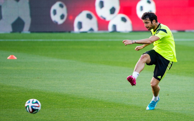 Cesc Fabregas Spain