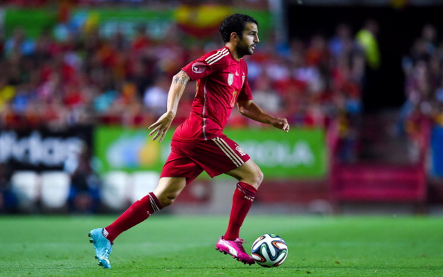Cesc Fabregas Spain