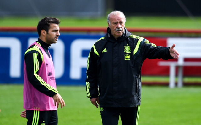 Cesc Fabregas Spain