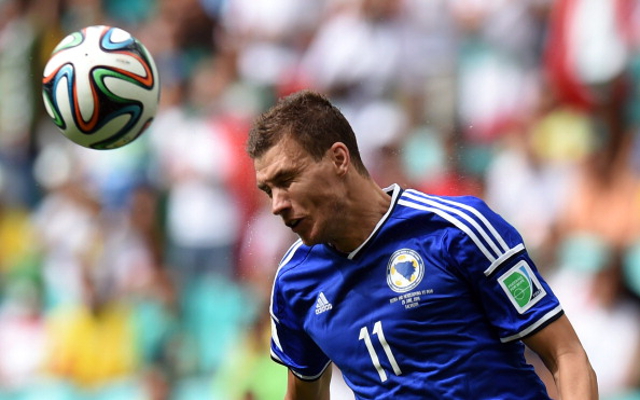 Edin Dzeko Bosnia