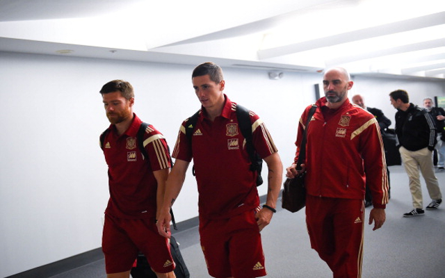 Fernando Torres Spain