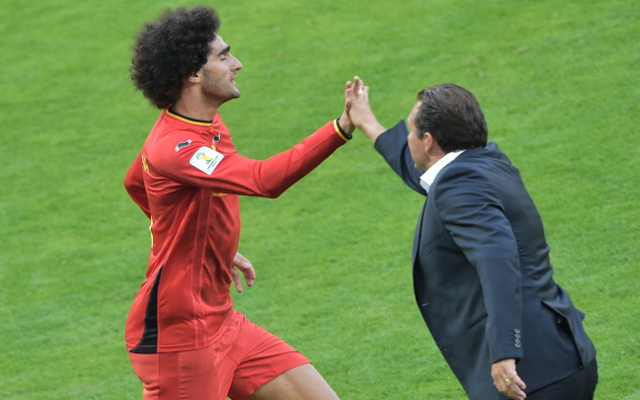 Marouane Fellaini Marc Wilmots Belgium