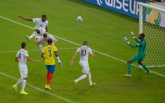 Paul Pogba France