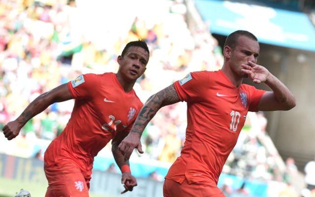 Wesley Sneijder Holland