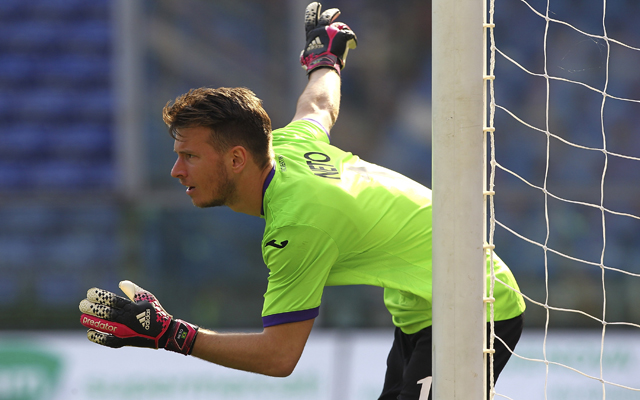 Neto - Fiorentina