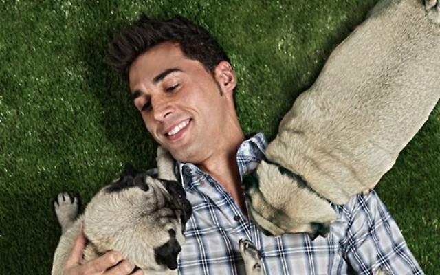 Alvaro Arbeloa and dogs