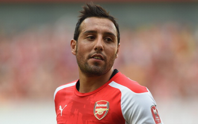 Santi Cazorla Arsenal