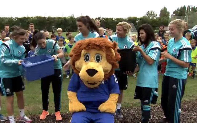 Stamford The Lion