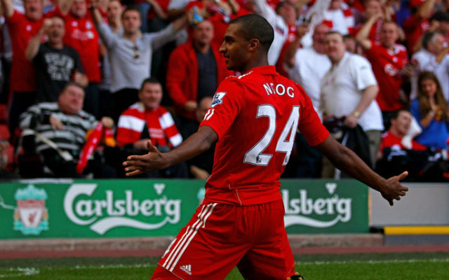 David N'Gog