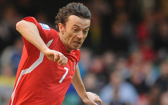Simon Davies, Wales