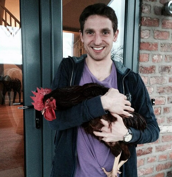 Joe Allen, cockerel