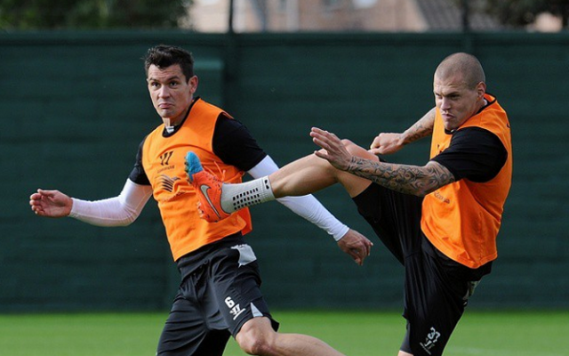 Martin Skrtel Dejan Lovren Liverpool