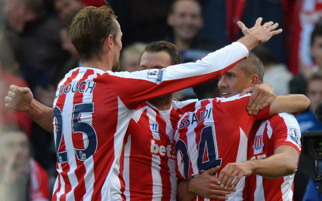 Stoke City goal