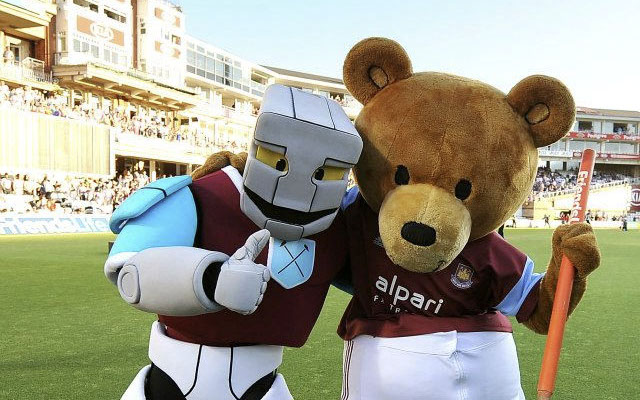Bubbles the Bear and Hammerhead
