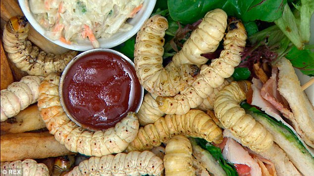 Live grubs