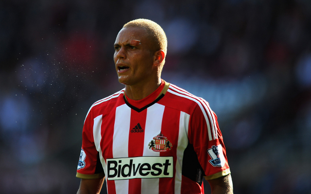 Wes Brown Sunderland