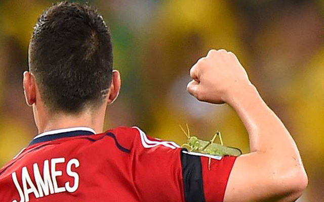 James and the Giant Grasshopper