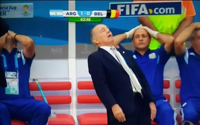 Sabella Argentina