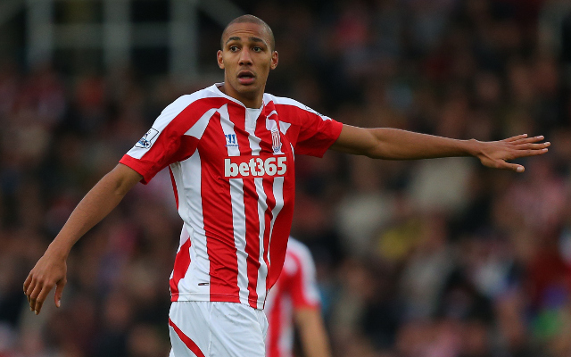 Steven N'Zonzi Stoke