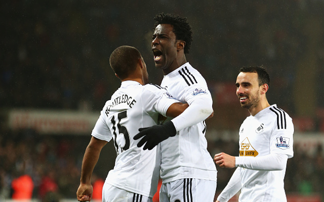 Wilfried Bony Swansea City
