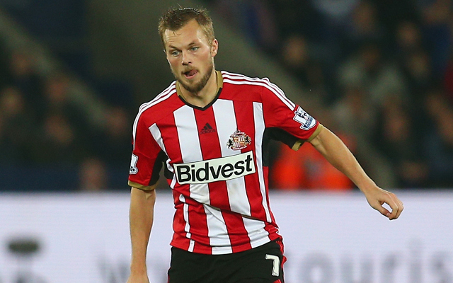 sebastian larsson sunderland
