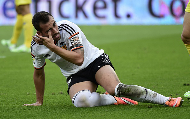 Paco Alcacer Valencia