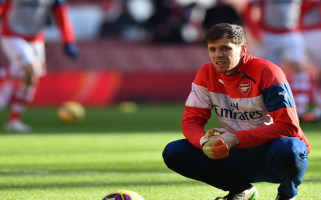 Wojciech Szczesny - Arsenal2
