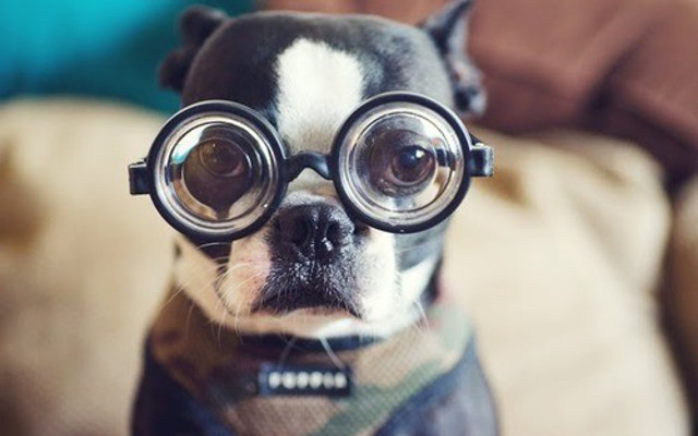 dani alves glasses