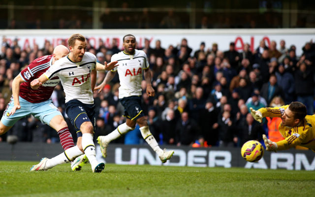 kane tottenham