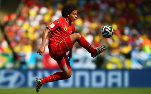 witsel belgium