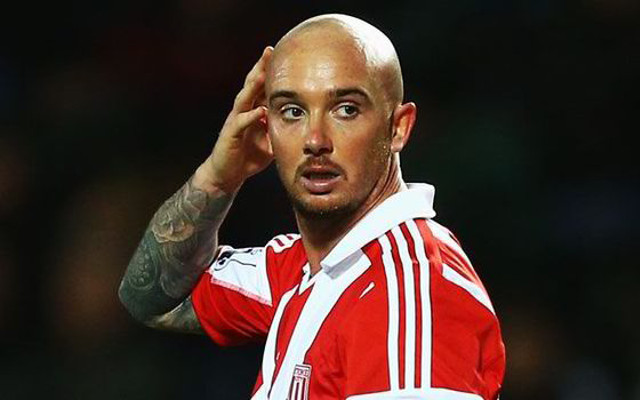 Stephen Ireland Stoke