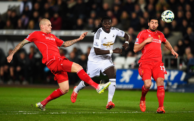 skrtel liverpool
