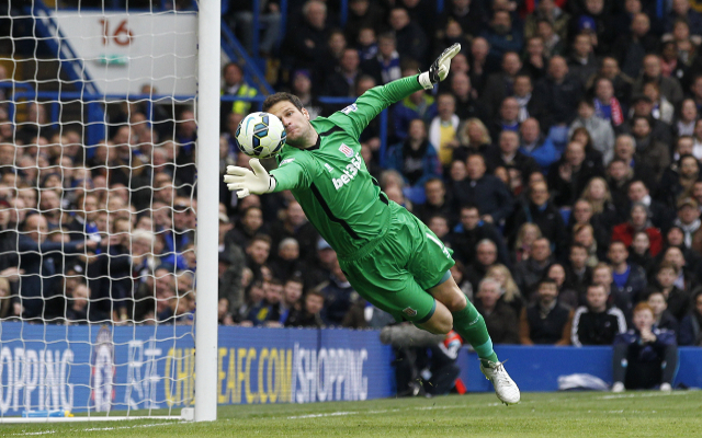 Asmir Begovic Stoke City