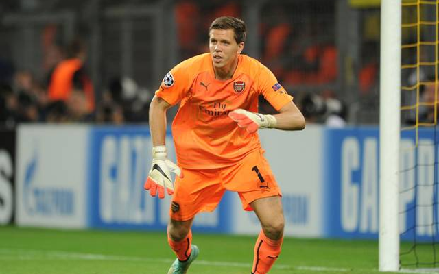 Wojciech Szczesny Arsenal