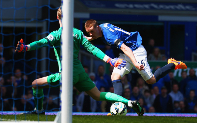 james mccarthy goal